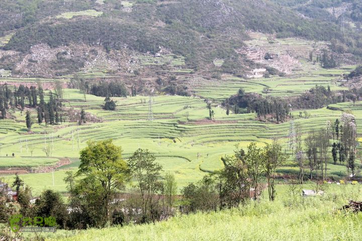 摩旅云南罗平-广西沿边公路（第三天.隆林-兴义-罗平-丘北） _MG_7145