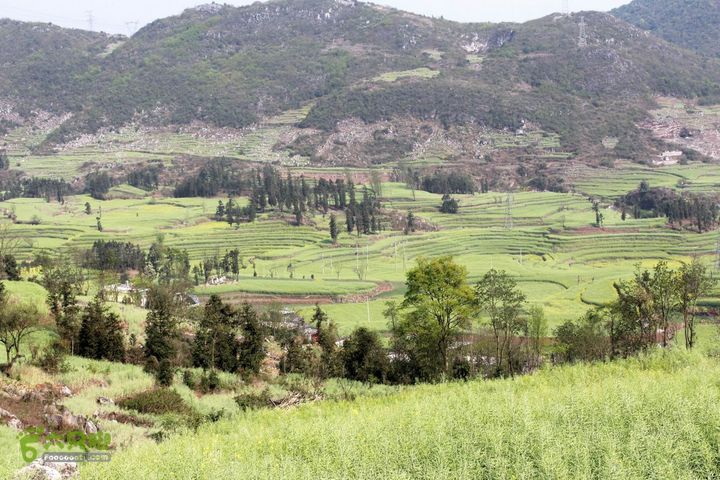 摩旅云南罗平-广西沿边公路（第三天.隆林-兴义-罗平-丘北） _MG_7147