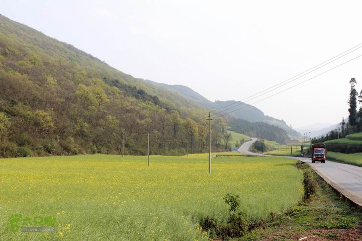 摩旅云南罗平-广西沿边公路（第三天.隆林-兴义-罗平-丘北） _MG_7154