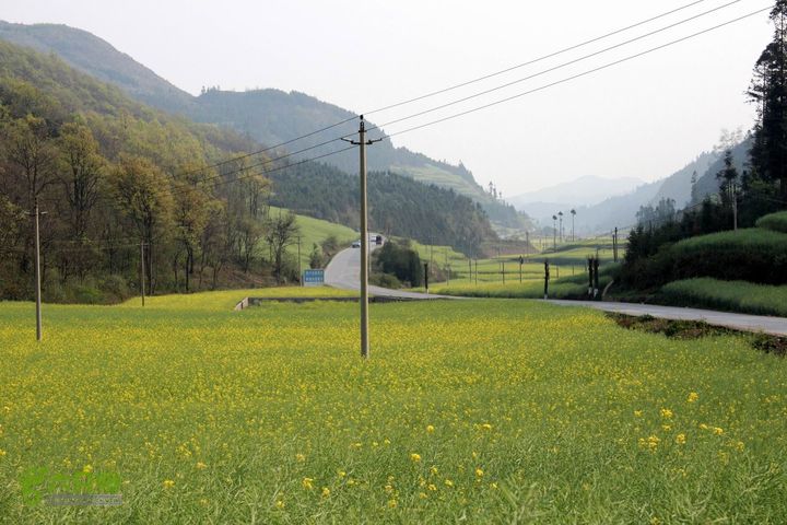 摩旅云南罗平-广西沿边公路（第三天.隆林-兴义-罗平-丘北） _MG_7155