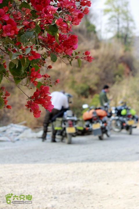 摩旅云南罗平-广西沿边公路（第二天.平果-隆林）_MG_7010