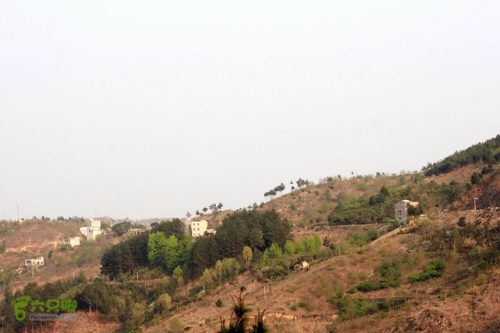 摩旅云南罗平-广西沿边公路（第二天.平果-隆林）_MG_6996