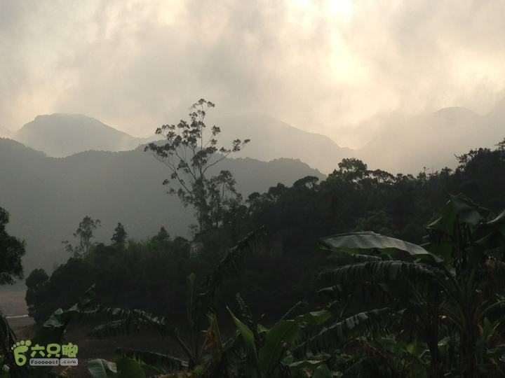 江门古兜狮子口至西坑2013-03-23 16:42:39