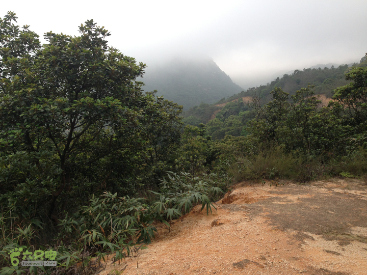 江门古兜狮子口至西坑2013-03-23 16:14:52