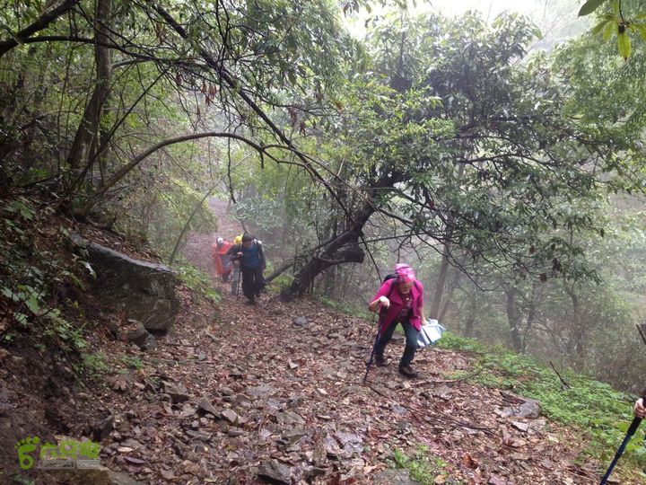 女豪杰雨中溯溪攀岩，宜春洪江-山峰-木坪-大垄坑-古庙洪江玉京山-27