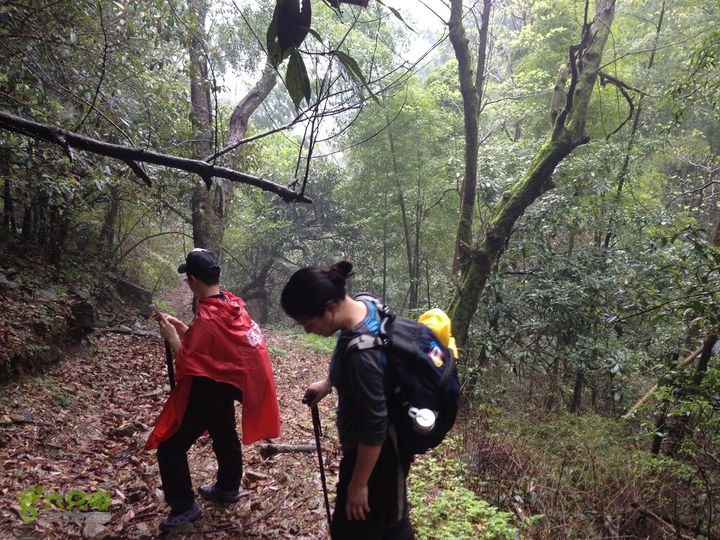 女豪杰雨中溯溪攀岩，宜春洪江-山峰-木坪-大垄坑-古庙洪江玉京山-32