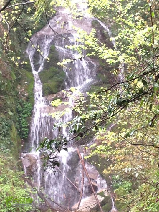 女豪杰雨中溯溪攀岩，宜春洪江-山峰-木坪-大垄坑-古庙洪江玉京山-33