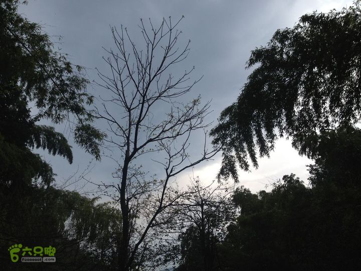 女豪杰雨中溯溪攀岩，宜春洪江-山峰-木坪-大垄坑-古庙洪江玉京山-36
