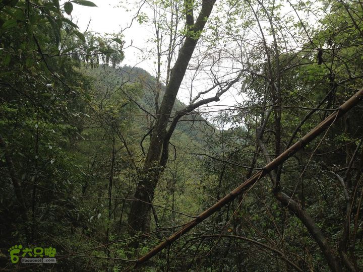 女豪杰雨中溯溪攀岩，宜春洪江-山峰-木坪-大垄坑-古庙洪江玉京山-40