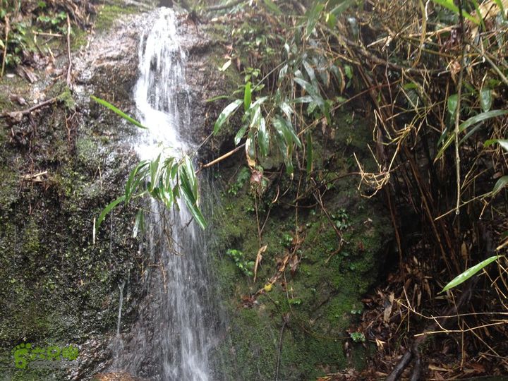 女豪杰雨中溯溪攀岩，宜春洪江-山峰-木坪-大垄坑-古庙洪江玉京山-42