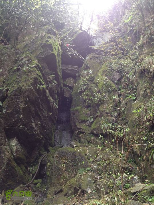 女豪杰雨中溯溪攀岩，宜春洪江-山峰-木坪-大垄坑-古庙玉京山峰东侧悬崖