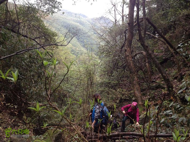 女豪杰雨中溯溪攀岩，宜春洪江-山峰-木坪-大垄坑-古庙洪江玉京山-45