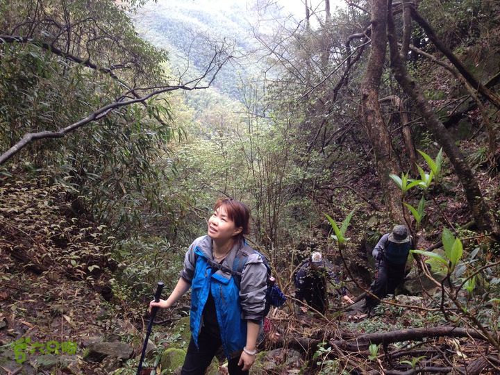 女豪杰雨中溯溪攀岩，宜春洪江-山峰-木坪-大垄坑-古庙洪江玉京山-46
