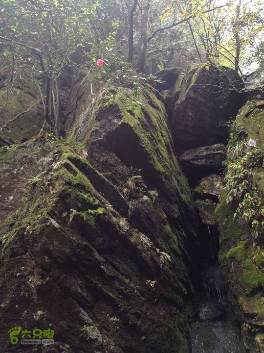 女豪杰雨中溯溪攀岩，宜春洪江-山峰-木坪-大垄坑-古庙洪江玉京山-47