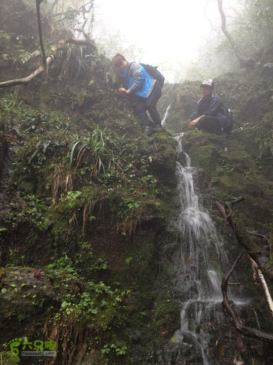 女豪杰雨中溯溪攀岩，宜春洪江-山峰-木坪-大垄坑-古庙洪江玉京山-50