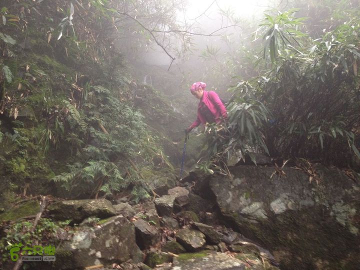 女豪杰雨中溯溪攀岩，宜春洪江-山峰-木坪-大垄坑-古庙洪江玉京山-51