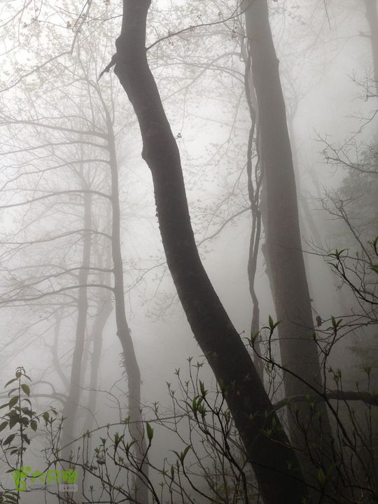 女豪杰雨中溯溪攀岩，宜春洪江-山峰-木坪-大垄坑-古庙洪江玉京山-52