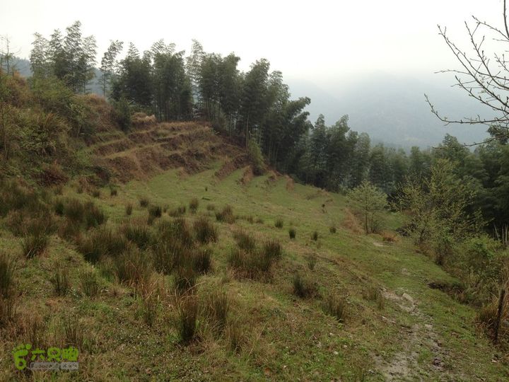 女豪杰雨中溯溪攀岩，宜春洪江-山峰-木坪-大垄坑-古庙洪江玉京山-59