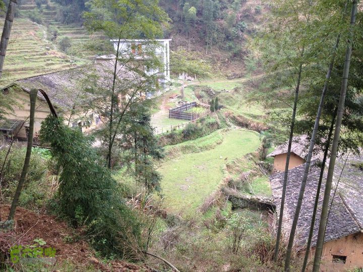 女豪杰雨中溯溪攀岩，宜春洪江-山峰-木坪-大垄坑-古庙洪江玉京山-61