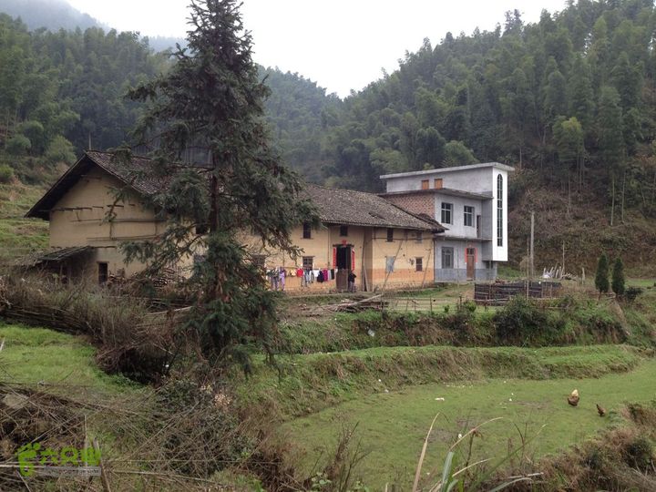 女豪杰雨中溯溪攀岩，宜春洪江-山峰-木坪-大垄坑-古庙洪江玉京山-62