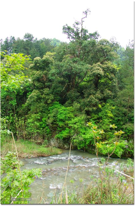 （新宁）崀山八角寨-双江-深冲-三十六湾-双江-石田001