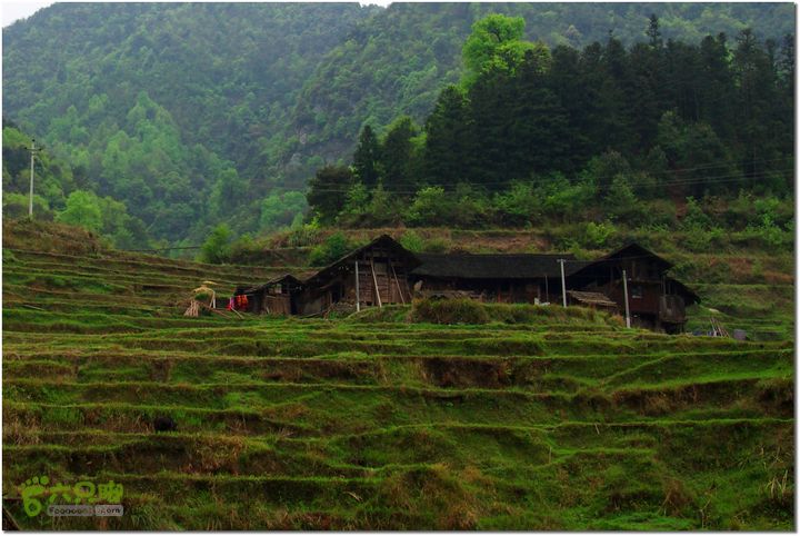 （新宁）崀山八角寨-双江-深冲-三十六湾-双江-石田004