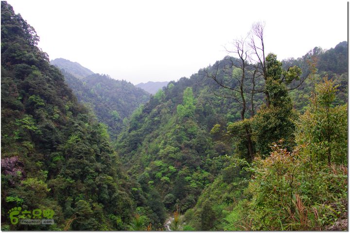 （新宁）崀山八角寨-双江-深冲-三十六湾-双江-石田009