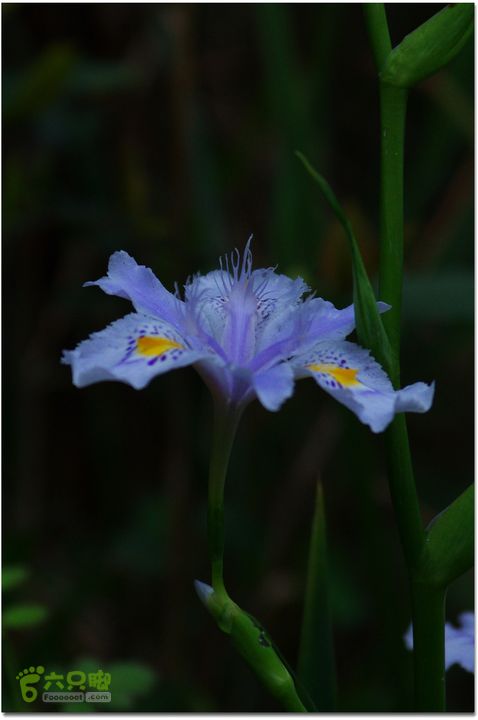 （新宁）崀山八角寨-双江-深冲-三十六湾-双江-石田013