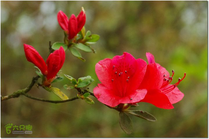 （新宁）崀山八角寨-双江-深冲-三十六湾-双江-石田014