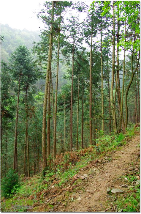 （新宁）崀山八角寨-双江-深冲-三十六湾-双江-石田016