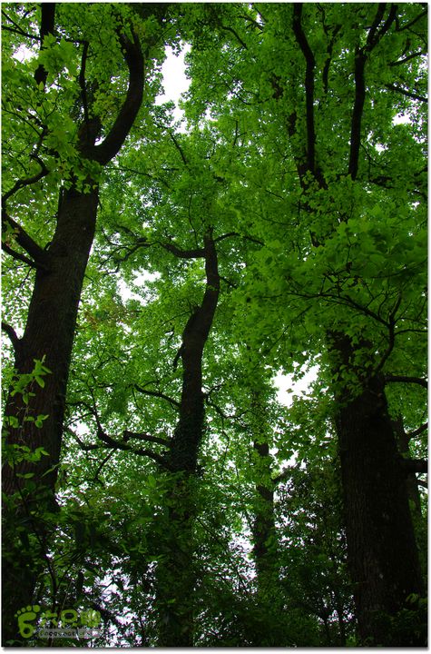 （新宁）崀山八角寨-双江-深冲-三十六湾-双江-石田020