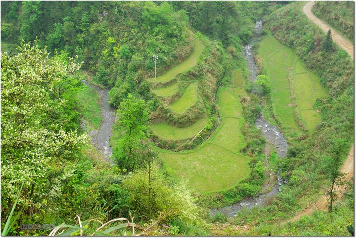 （新宁）崀山八角寨-双江-深冲-三十六湾-双江-石田021