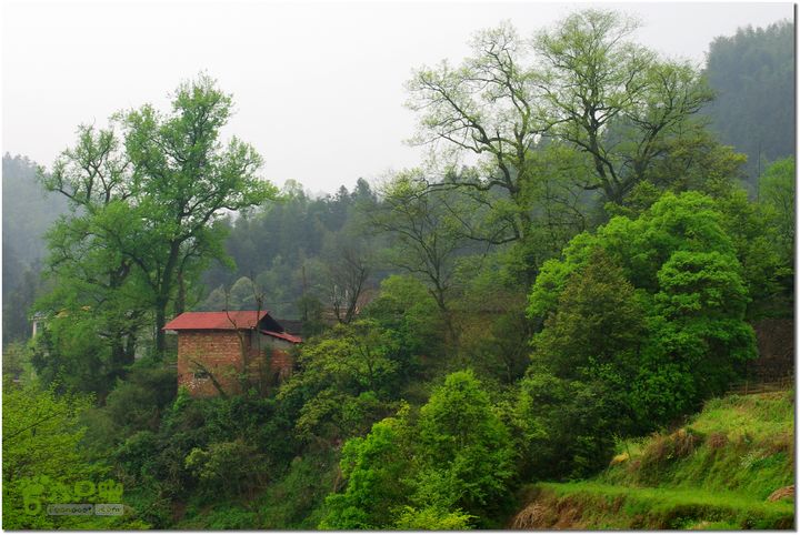 （新宁）崀山八角寨-双江-深冲-三十六湾-双江-石田023