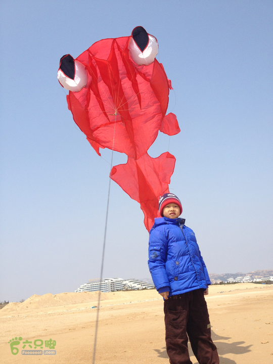 海边，风筝2013-03-31 12:03:25