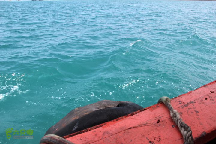 20130402--三亚横渡西岛（老人游泳队）成功登陆！海水是蓝色的！ 