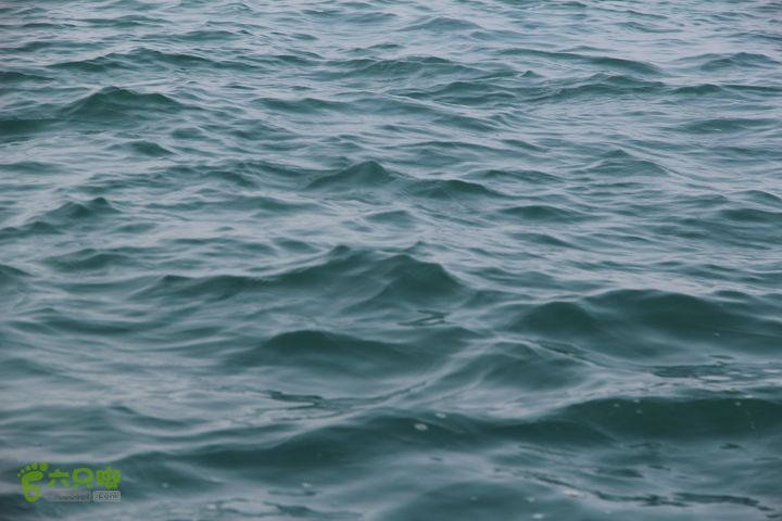 20130402--三亚横渡西岛（老人游泳队）成功登陆！海水情况： 还算平稳， 风浪不大！