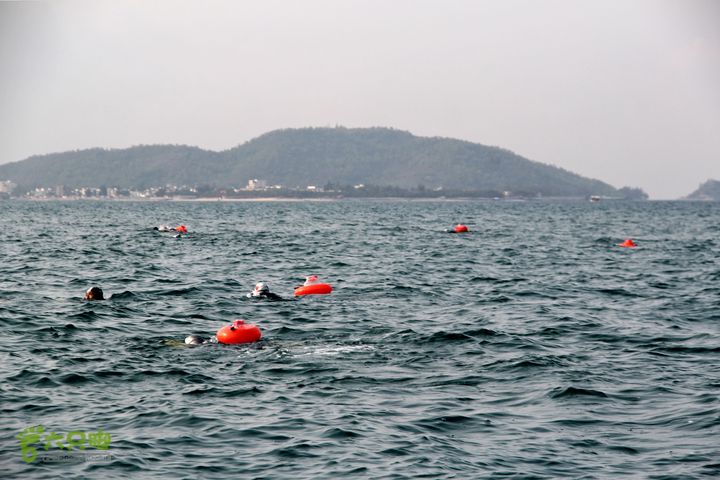 20130402--三亚横渡西岛（老人游泳队）成功登陆！前行中。