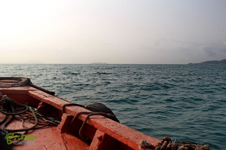 20130402--三亚横渡西岛（老人游泳队）成功登陆！前方目标