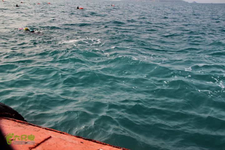 20130402--三亚横渡西岛（老人游泳队）成功登陆！游行中。。。。。 从这张照片就可以看出海流的流向和强度！