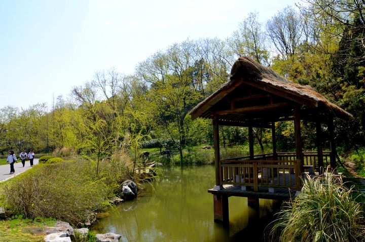 苏南通 南通启秀中学-园博园远足@130403 20130403_114030