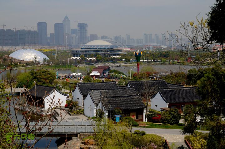 苏南通 南通启秀中学-园博园远足@130403 20130403_122700