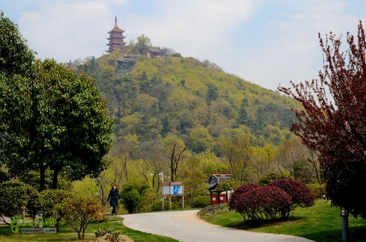 苏南通 南通启秀中学-园博园远足@130403 20130403_123501