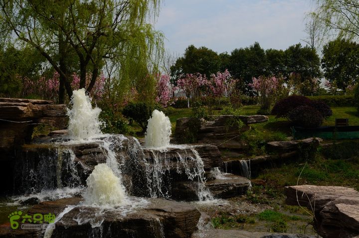 苏南通 南通启秀中学-园博园远足@130403 20130403_123618