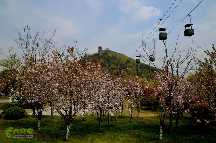 苏南通 南通启秀中学-园博园远足@130403 20130403_124339