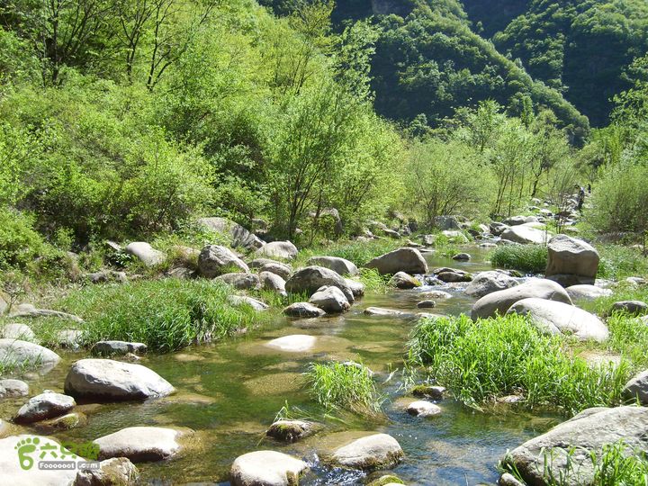 小鲁庄-后河-龙聚山庄SL630085