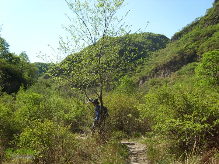 小鲁庄-后河-龙聚山庄SL730114