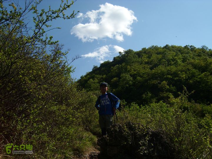 小鲁庄-后河-龙聚山庄SL730120