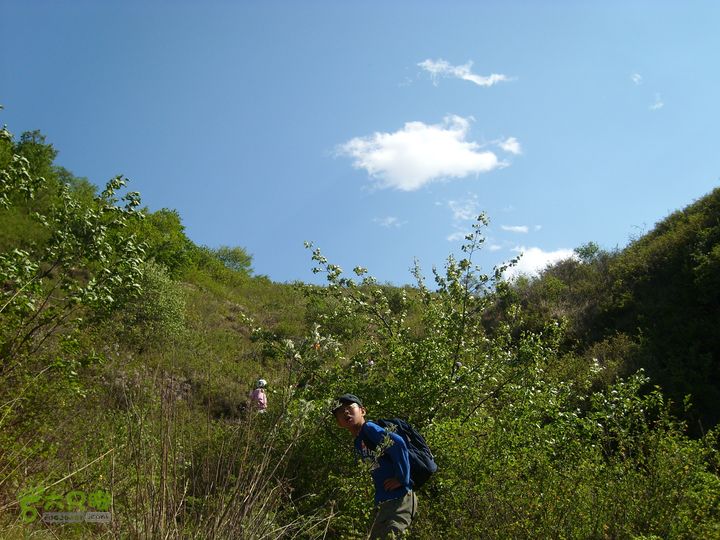 小鲁庄-后河-龙聚山庄SL730123