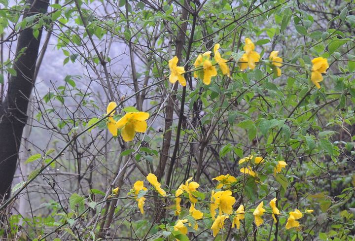 骑行沣峪登观音山DSC_0047