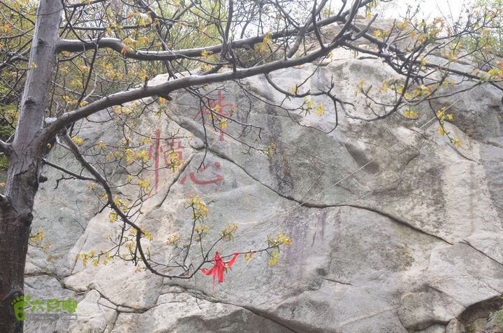 骑行沣峪登观音山DSC_0052